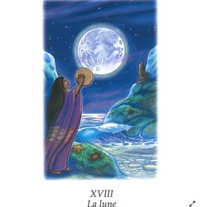 Tarot Vision Quest [français] - Gayan Sylvie Winter & Jo Dosé 4